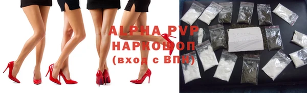 тгк Майский