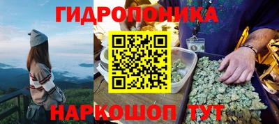 марихуана Краснознаменск