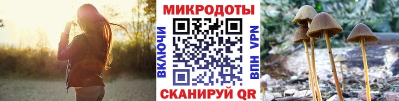 Галлюциногенные грибы Cubensis  Мичуринск 