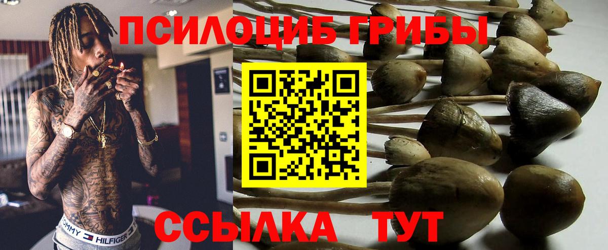 Галлюциногенные грибы MAGIC MUSHROOMS Мичуринск